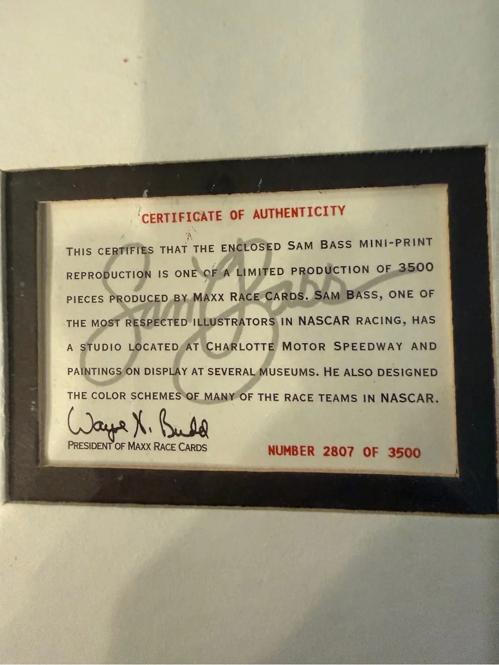 1993 Vintage Sam Bass Print in Frame Jeff Gordon 24 14.5